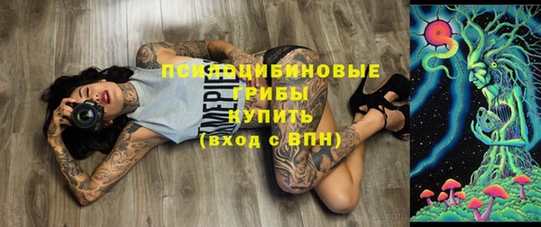 не бодяженный Новозыбков