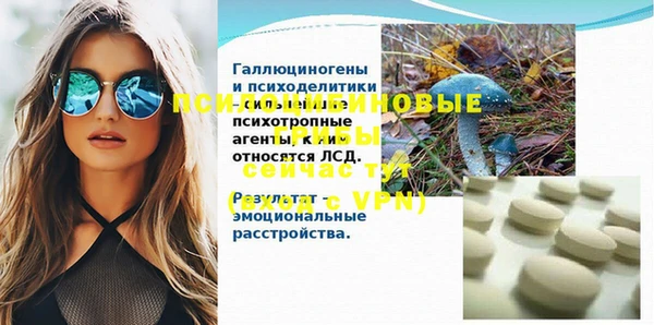 спиды Новодвинск