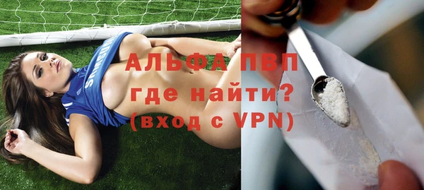 спиды Новодвинск