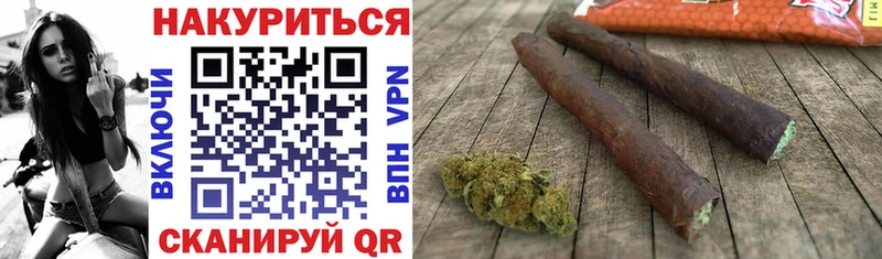 Бошки Шишки планчик  Сольцы 